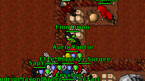 Fion Kimon on screen