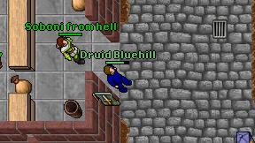 Druid Bluehill on screen
