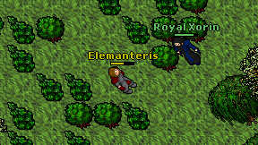 Elemanteris on screen