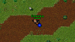 Edveka on screen
