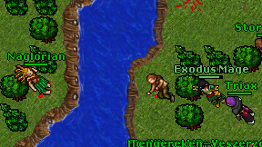 Exodus Mage on screen