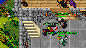 Apus Tus on screen