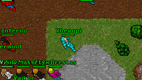 Xhexopi on screen