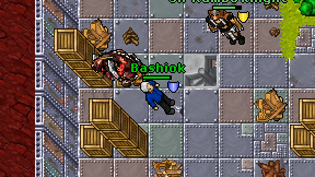 Bashiok on screen