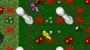 Pobop on screen