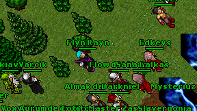Flyn Rayn on screen