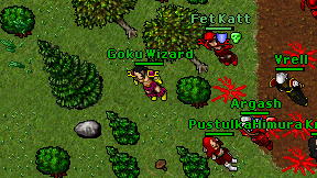 Goku Wizard on screen