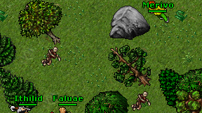 Merivo on screen
