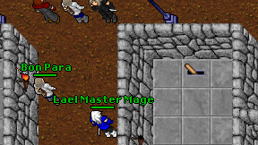 Lael Master Mage on screen