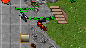 Dudu'Knight on screen