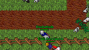 Dudahub on screen