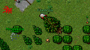 Fladron on screen