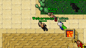 Wobarunee on screen