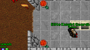Elite Knight Guardian on screen