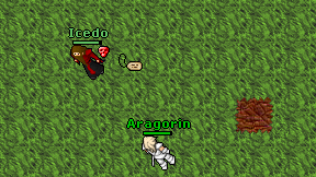 Aragorin on screen