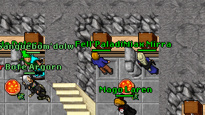 Fell'Paladin on screen