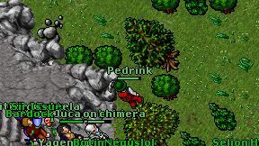 Pedrink on screen