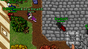 Kedafi on screen