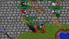 Avocario on screen