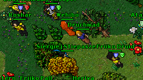 Druchmad on screen