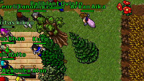 Arkan Aika on screen