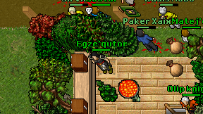 Egze'qutor on screen
