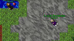 Lord Assasin on screen