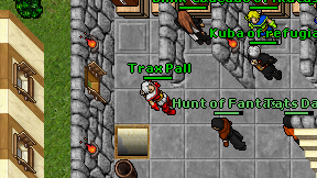 Trax Pall on screen
