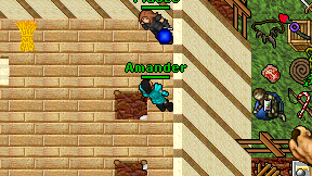 Amander on screen