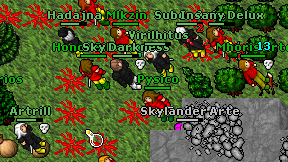 Pysico on screen