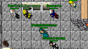 Dolphinblues on screen