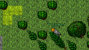 Tothmes on screen