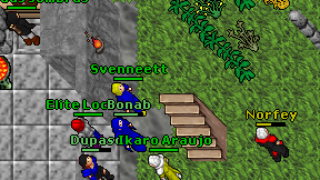 Svenneett on screen