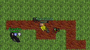 Mal Ginis on screen