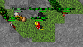 Salmidon on screen