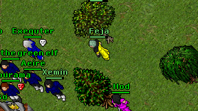 Feja on screen