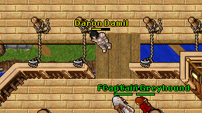 Daron Damil on screen