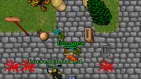 Energex on screen