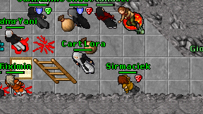 Cart Lora on screen