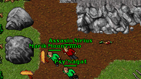 Assasin Sirius on screen