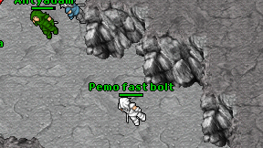 Pemo fast bolt on screen