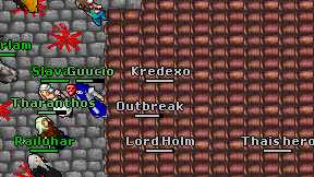 Kredexo on screen
