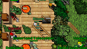 Binon on screen