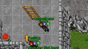 Anonimow on screen