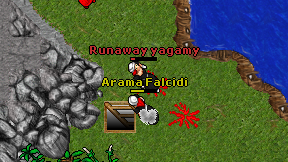 Arama Falcidi on screen