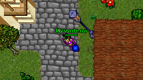Kyvadena on screen