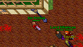 Sir Pitbul on screen