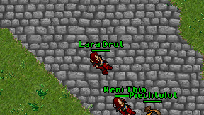 Lara Drot on screen