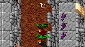 Latuz on screen