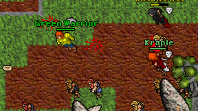 Green Warrior on screen